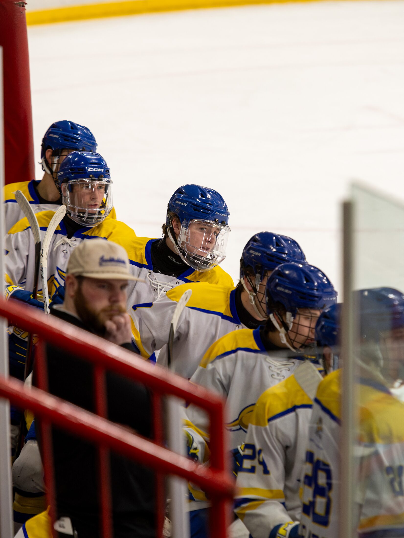 Hockey players focused from the bench